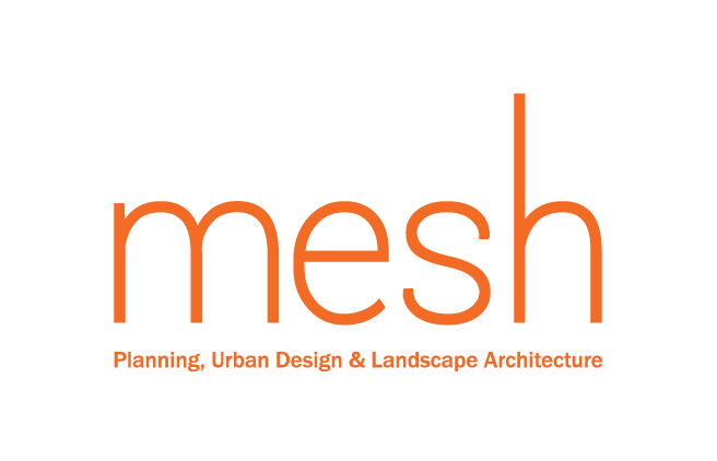 Mesh Logo